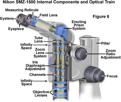 BW OPTICS